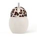 260303-080330-tasse-a-paille-coconut-240-ml-graouu-elhee-bam.jpg